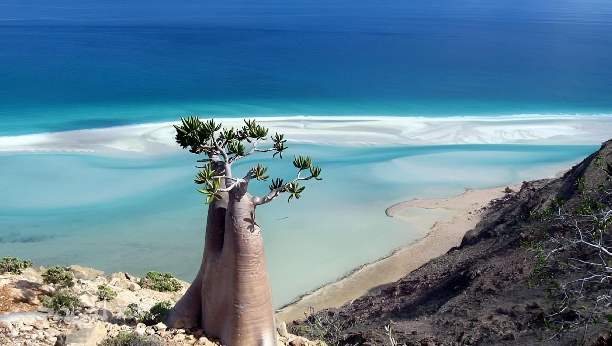 socotra-Island-beach