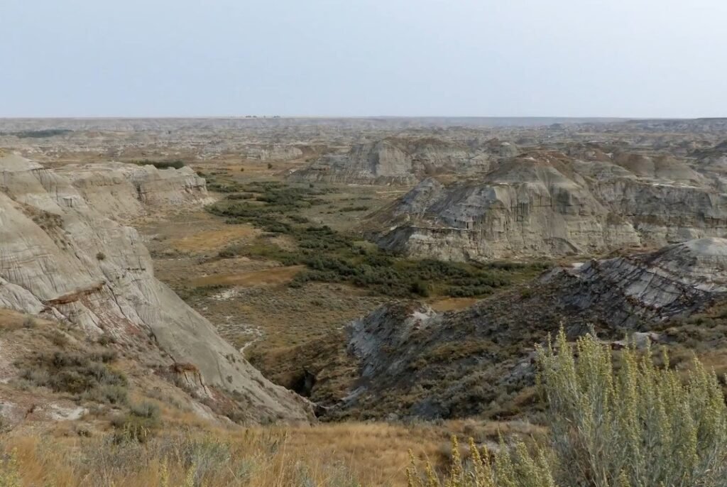 Prairie-Trail-Lookout