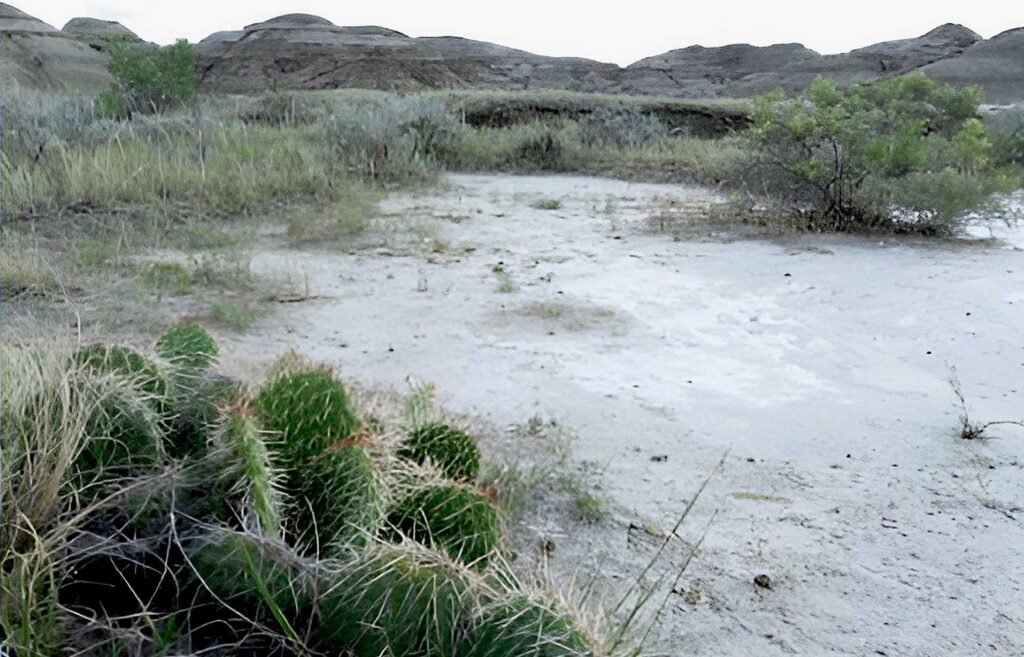 Dinosaur Provincial Park Camping