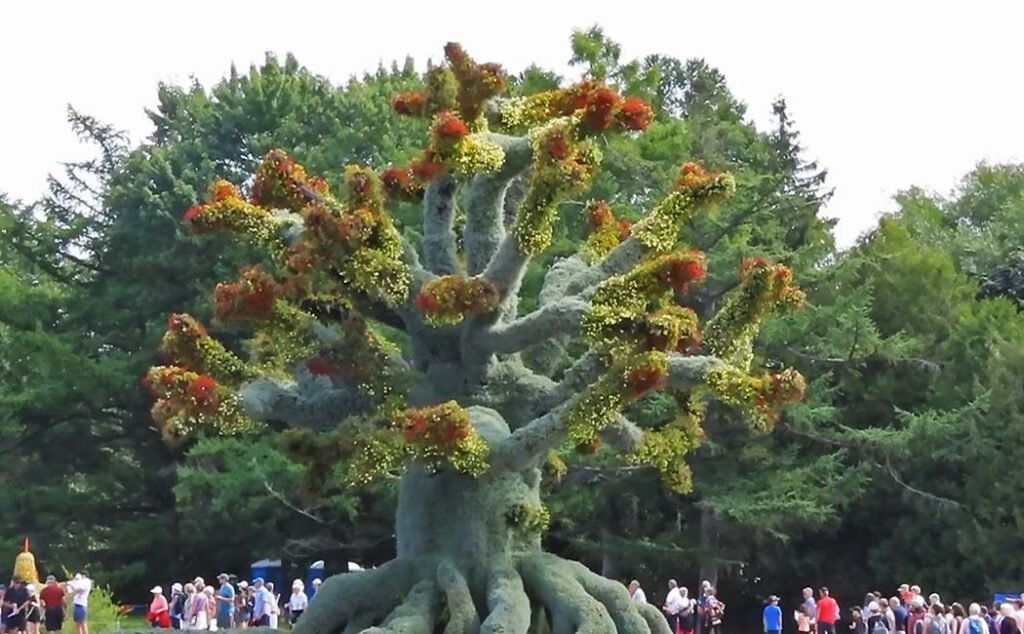 Tree-of-Life