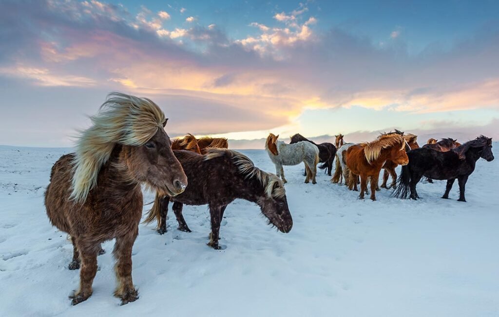 Beautiful-Iceland-Images