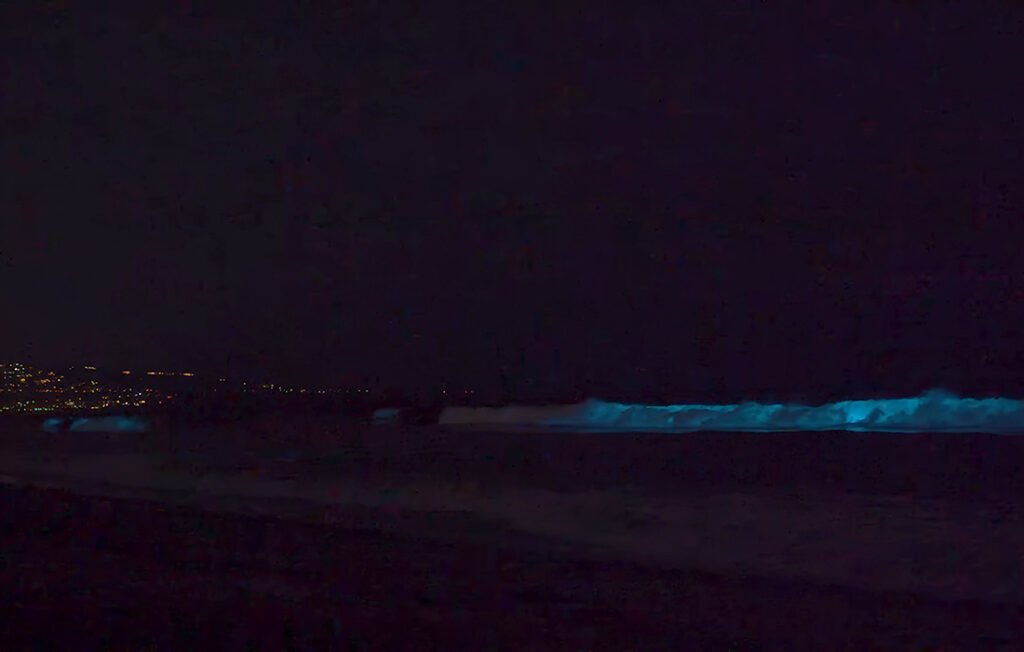 Bodega Bay, California