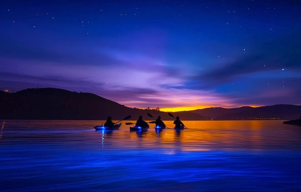 Tomals-Bay-California