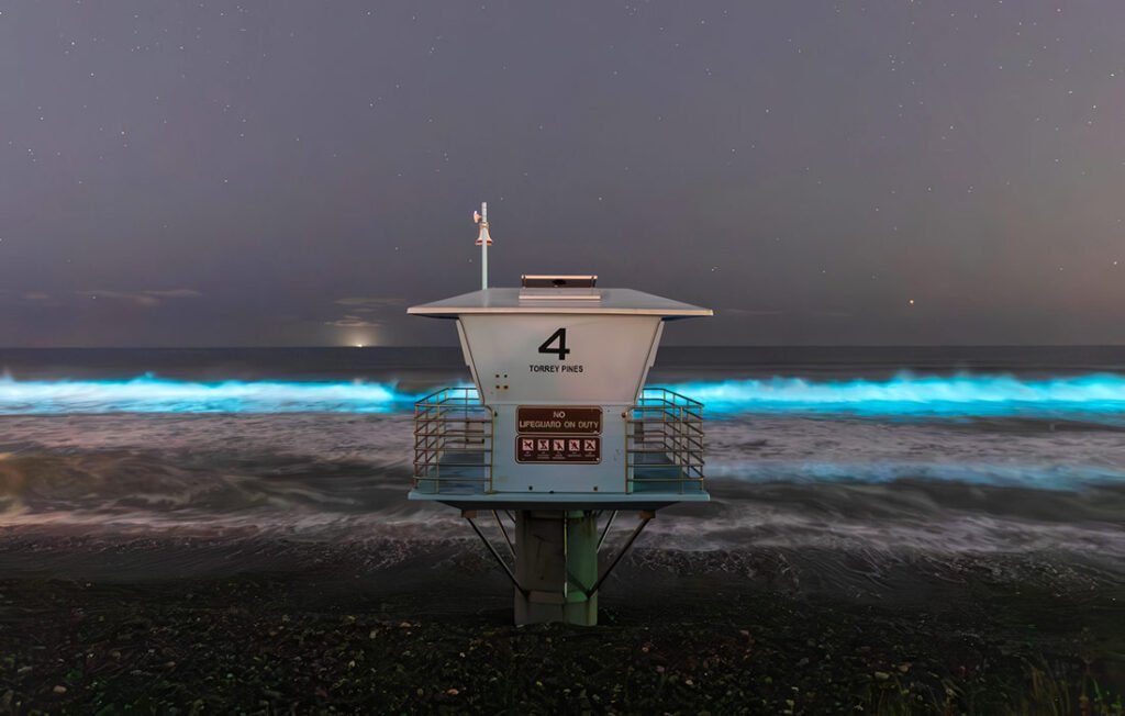 Torrey-Pines-Beach-San-Diego-California