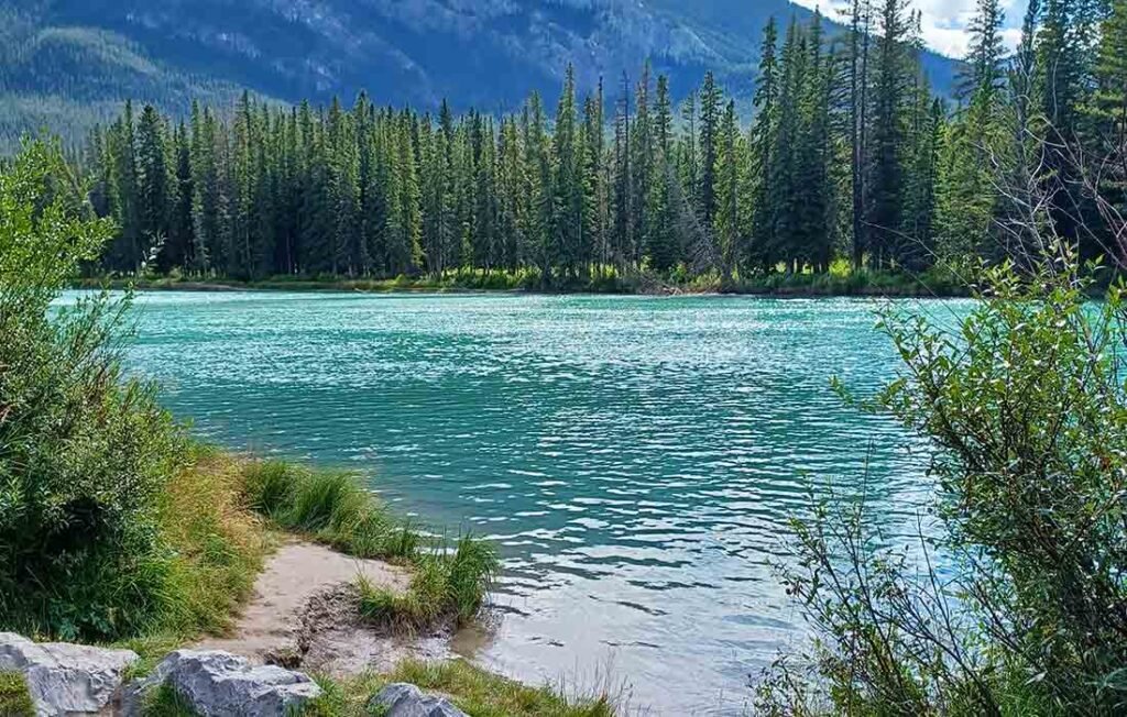 Banff_National_Park_Bow_River_Trail