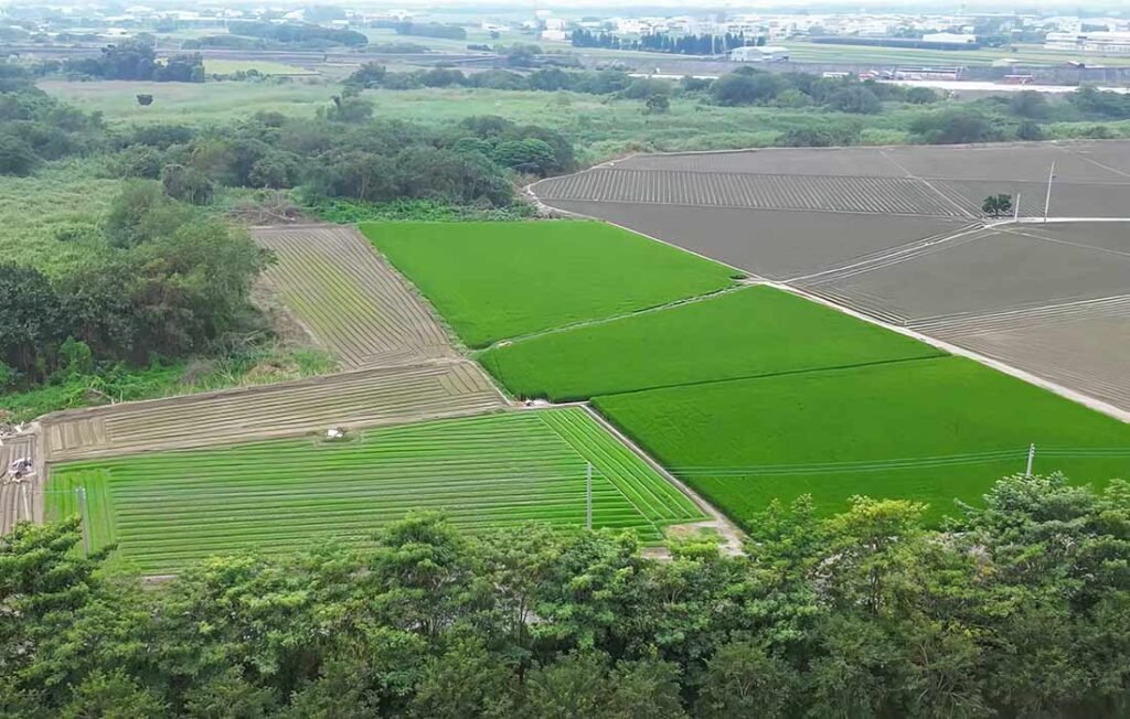 Taiwan_Countryside_Yunlin