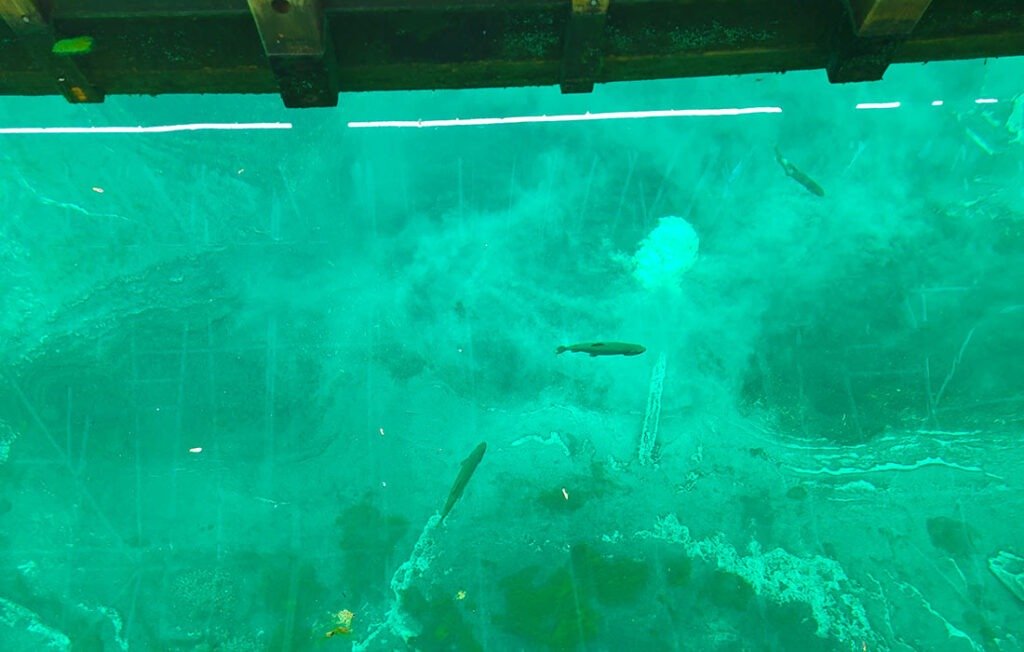 Kitch iti kipi Michigan