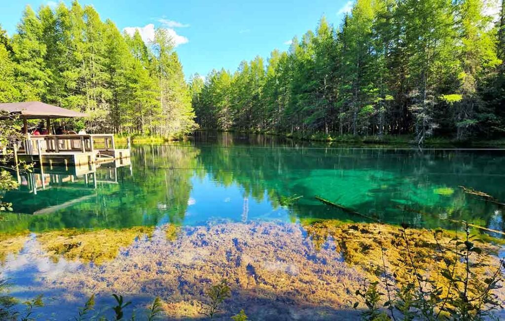 Kitch-iti-kipi Michigan